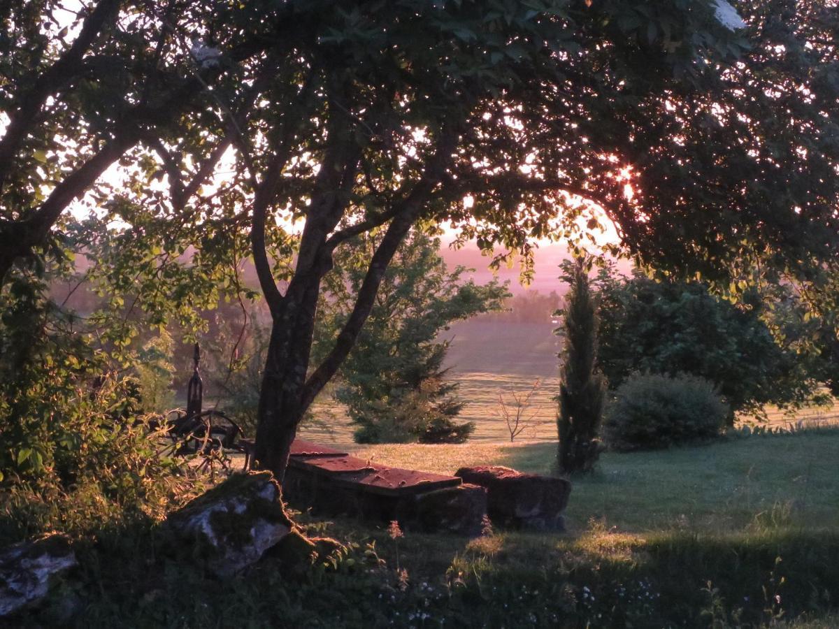 La Ferme Buissonniere Bed and Breakfast Bardou Eksteriør billede