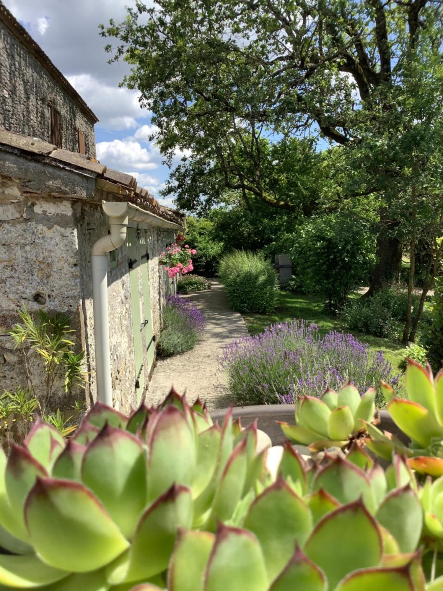 La Ferme Buissonniere Bed and Breakfast Bardou Eksteriør billede